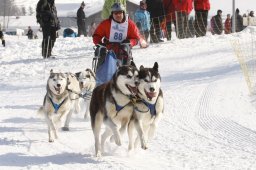 Lenk 2012 SM